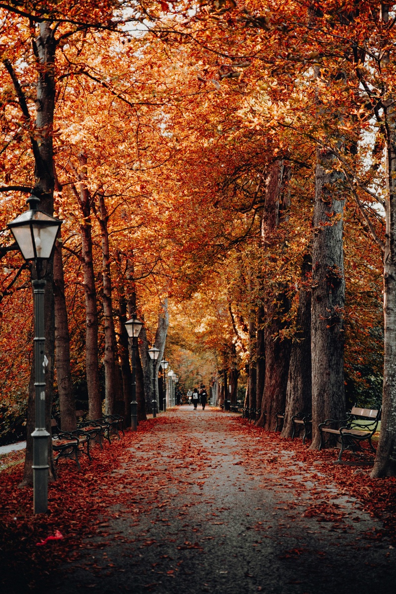 5 Financial Tasks to Tackle This Fall Season