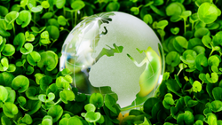 Is ESG A Marketing Ploy?