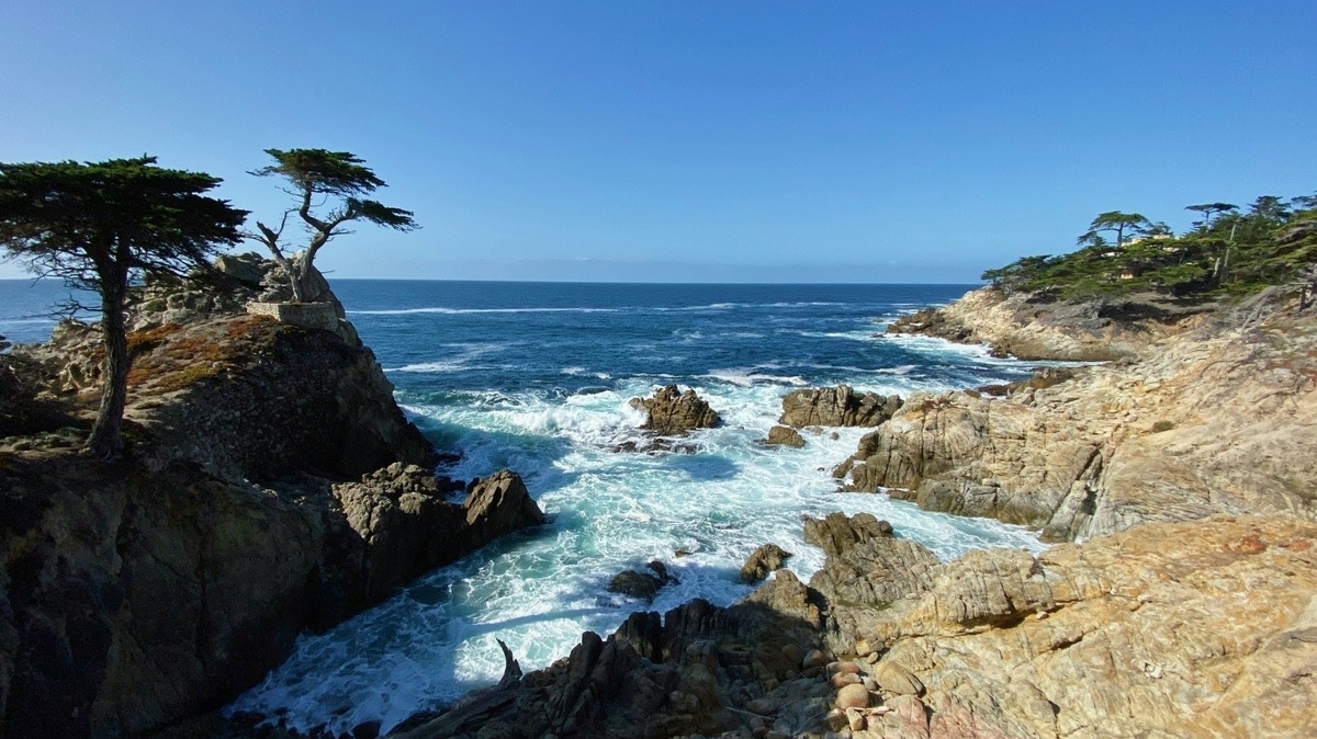 Roth IRA Benefits and Pitfalls