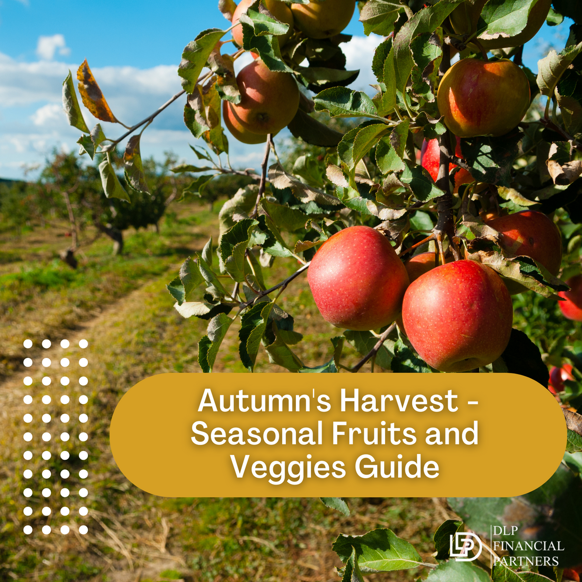 Autumn’s Harvest: Seasonal Fruits and Veggies Guide