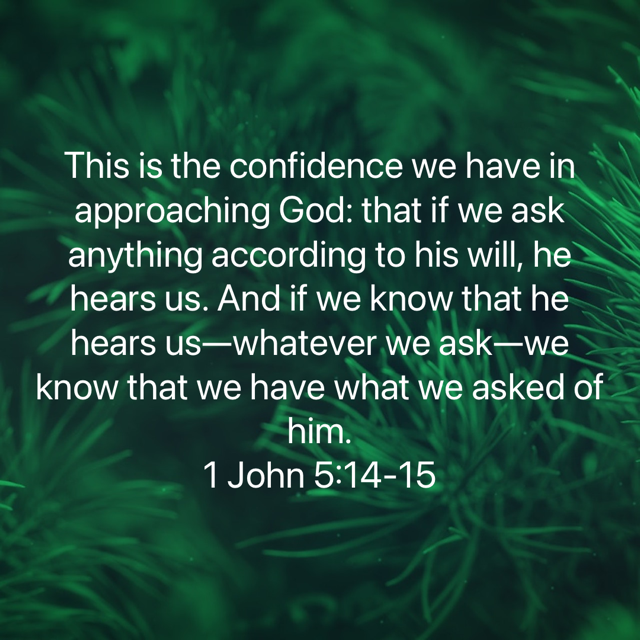 1 John 5:14-15