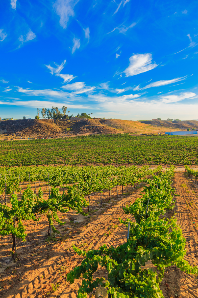 Why Choose a Fiduciary Financial Advisor in Murrieta?