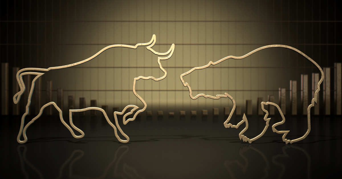 A Survival Guide for a Bear Market