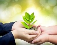 Planning Your Charitable Giving