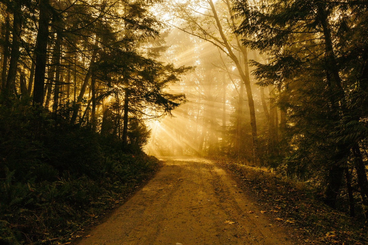 Navigating Retirement: Data-Driven Stories for Your Journey