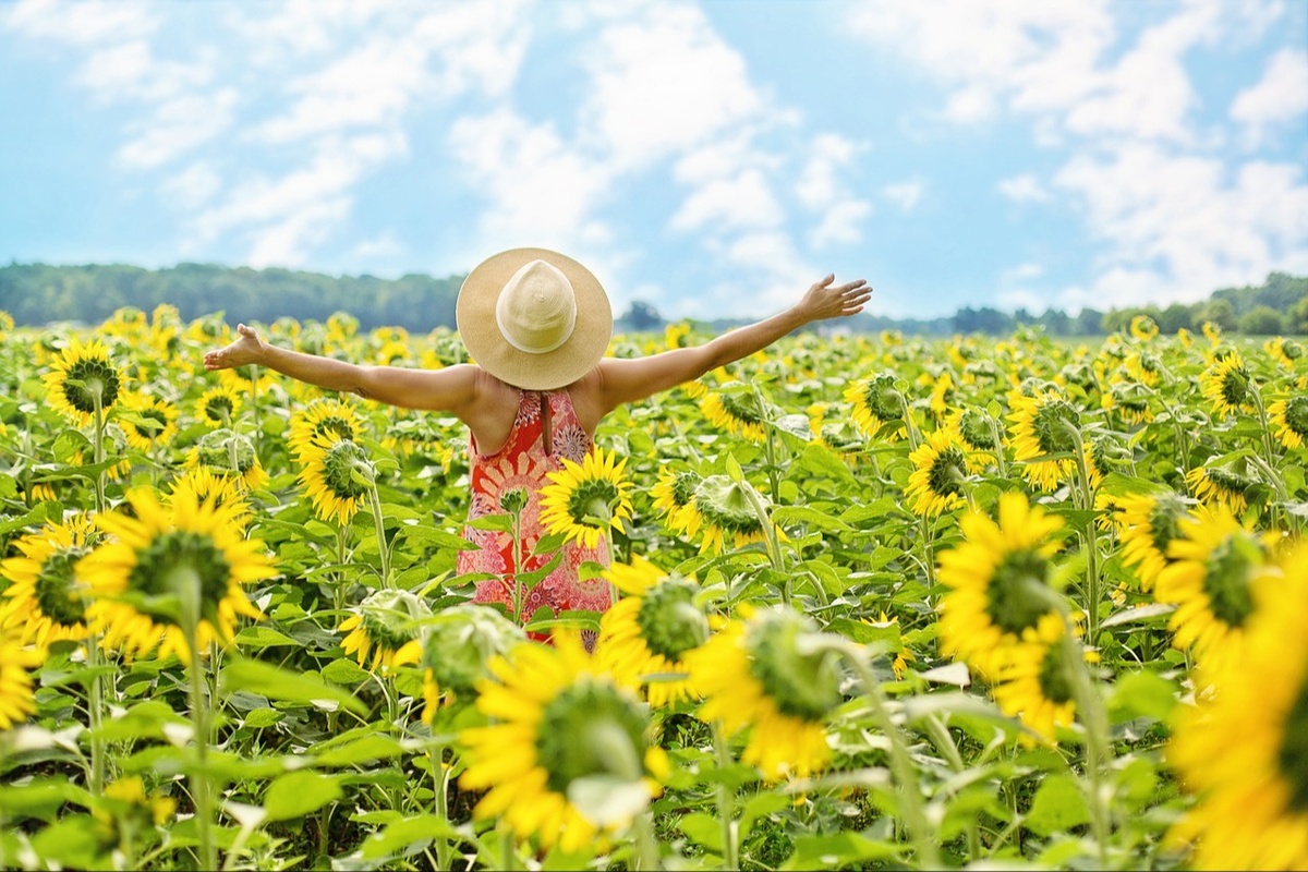 The Sunshine Vitamin: Why Vitamin D3 is Essential for Your Health