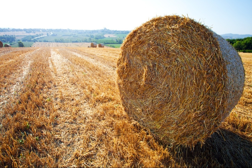 Making Hay While The Sun Shines