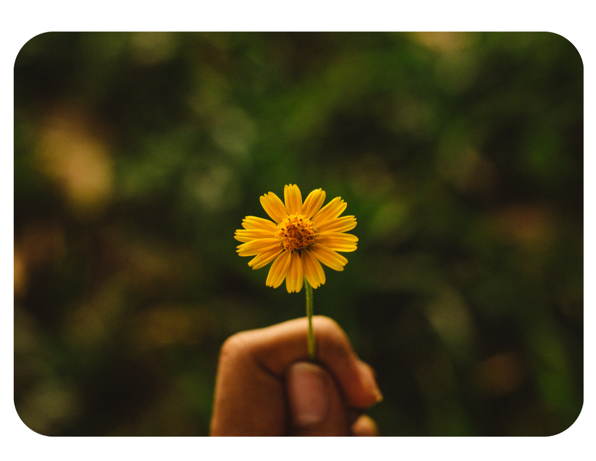 How to Protect Your Peace During Separation or Divorce