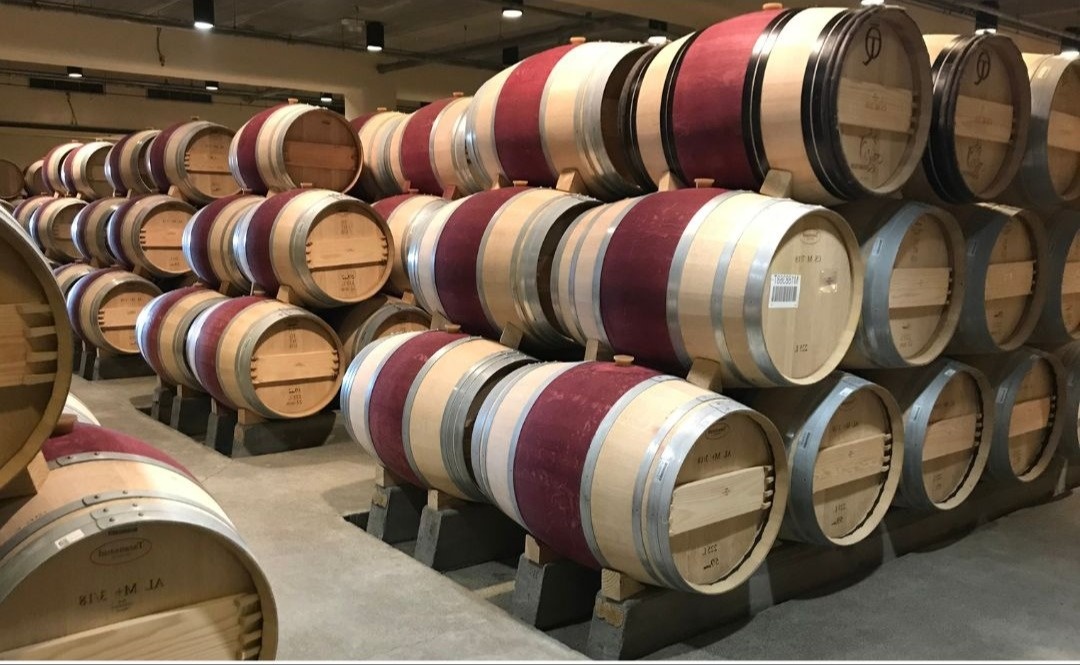 From Barrel to Balance Sheet: What Winemaking Teaches Us About Financial Planning