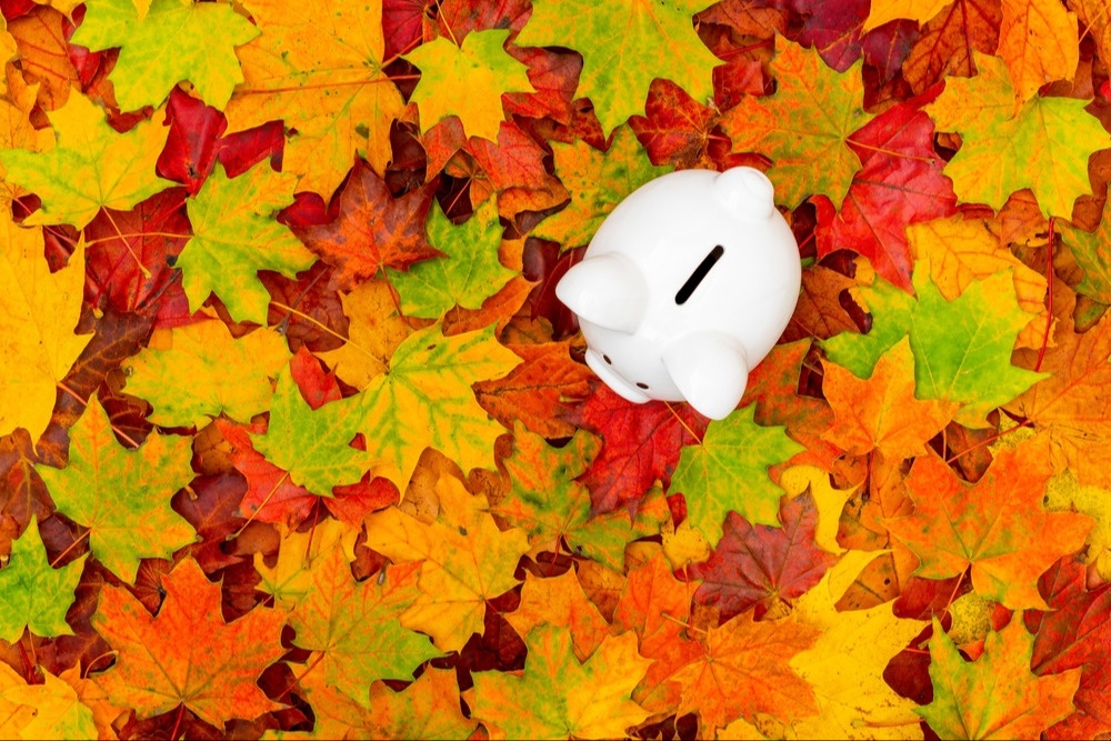 Financial Pathways Autumnal Update