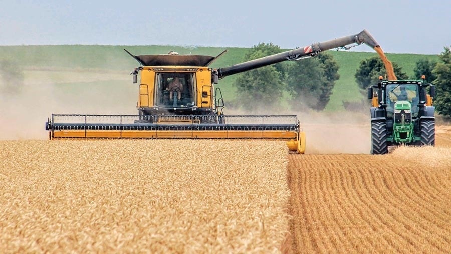 Tax Loss Harvesting