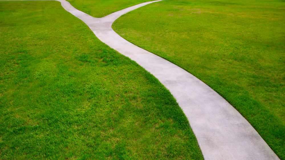 401(k) Rollover Options to Consider