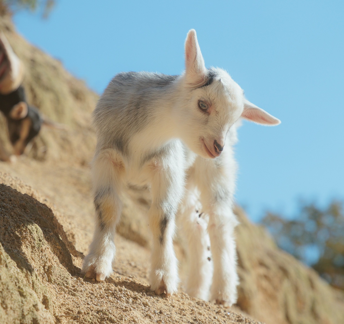 Weekly Market Insights | Markets Weather Volatile Week