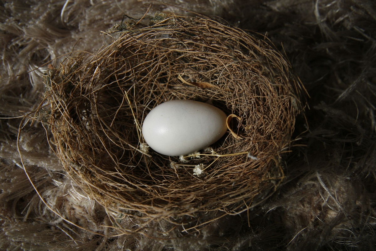 Don't Let Taxes Eat Away at Your Nest Egg: A Simple Guide to Tax-Smart Investing