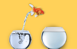 Is a Roth Conversion Right For You?