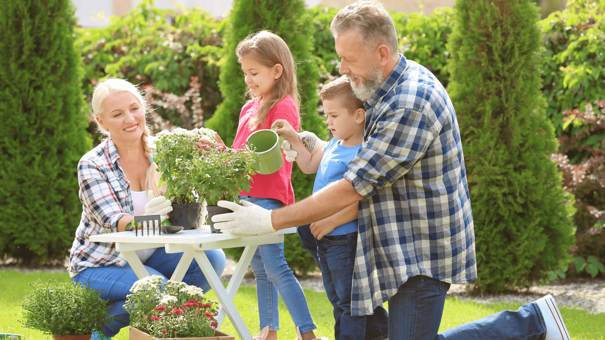 Strategies Using Life Insurance