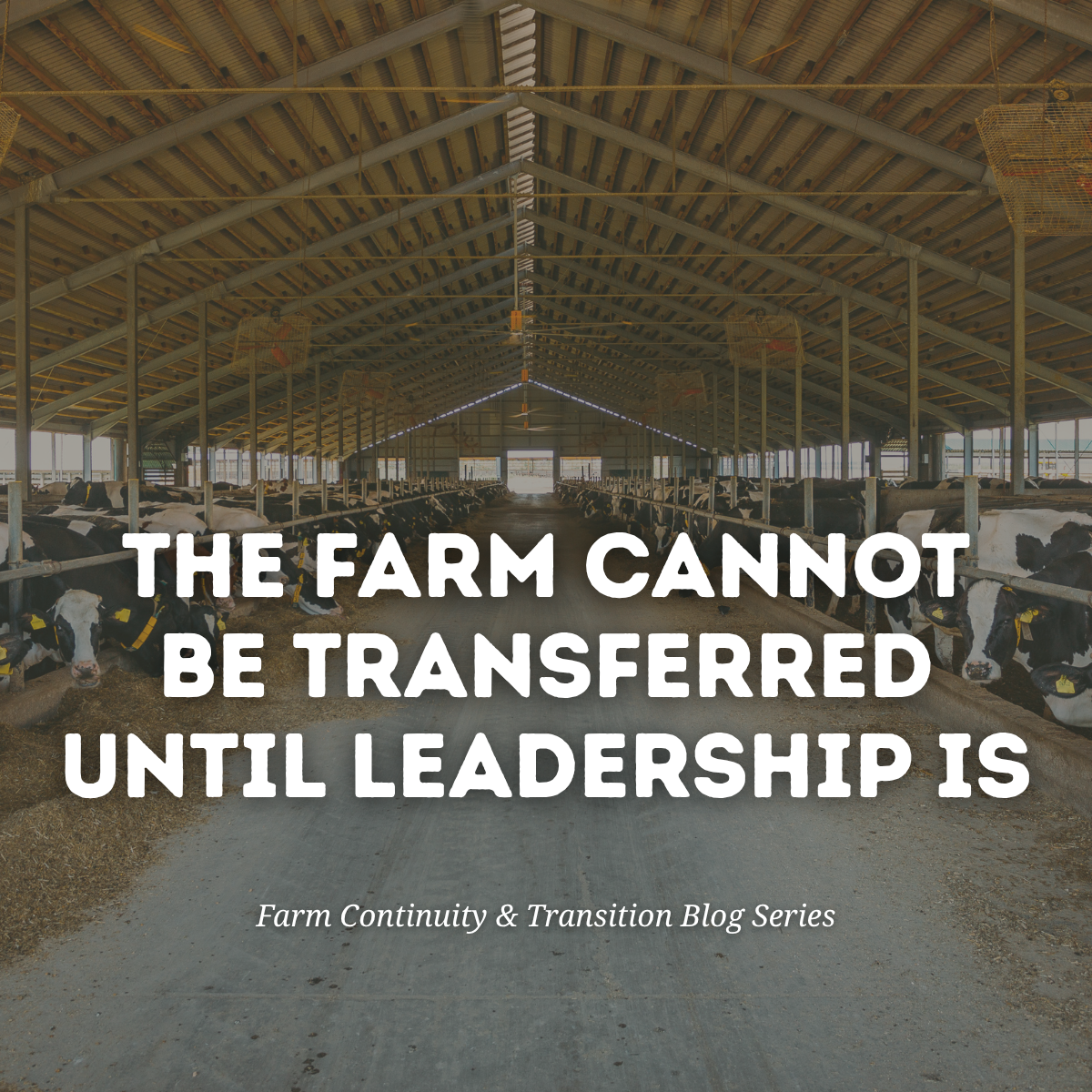 The Farm Cannot Be Transferred Until Leadership Is