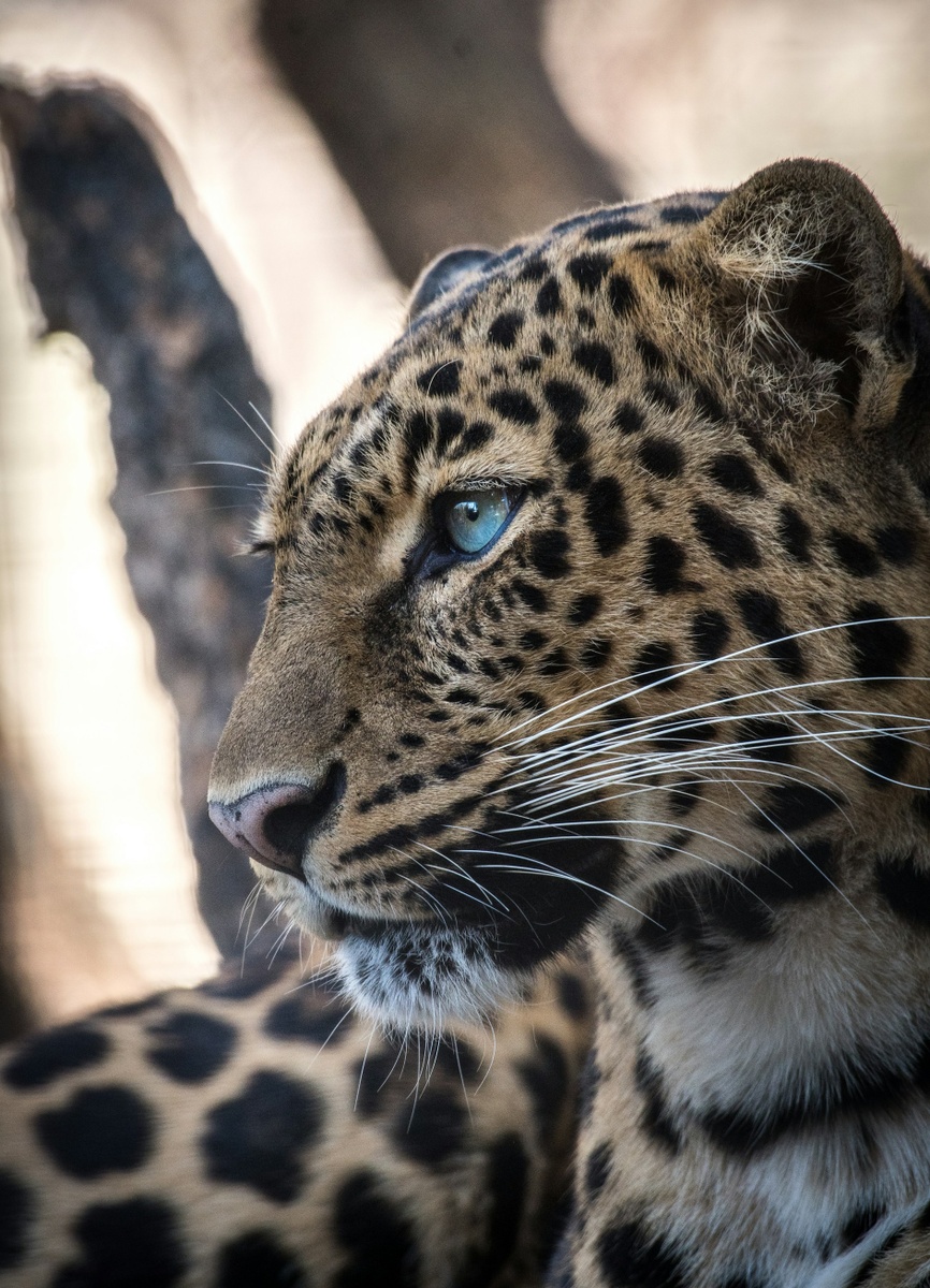 Weekly Market Insights: Down Corporate Reports Shake Investors