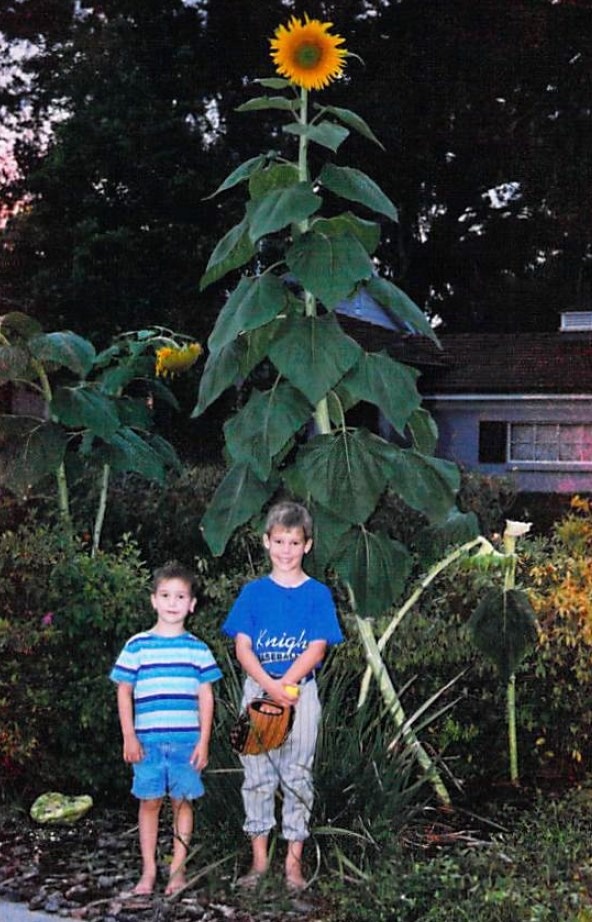 Cultivating an Abundance Mindset: How to Grow Positivity and Success