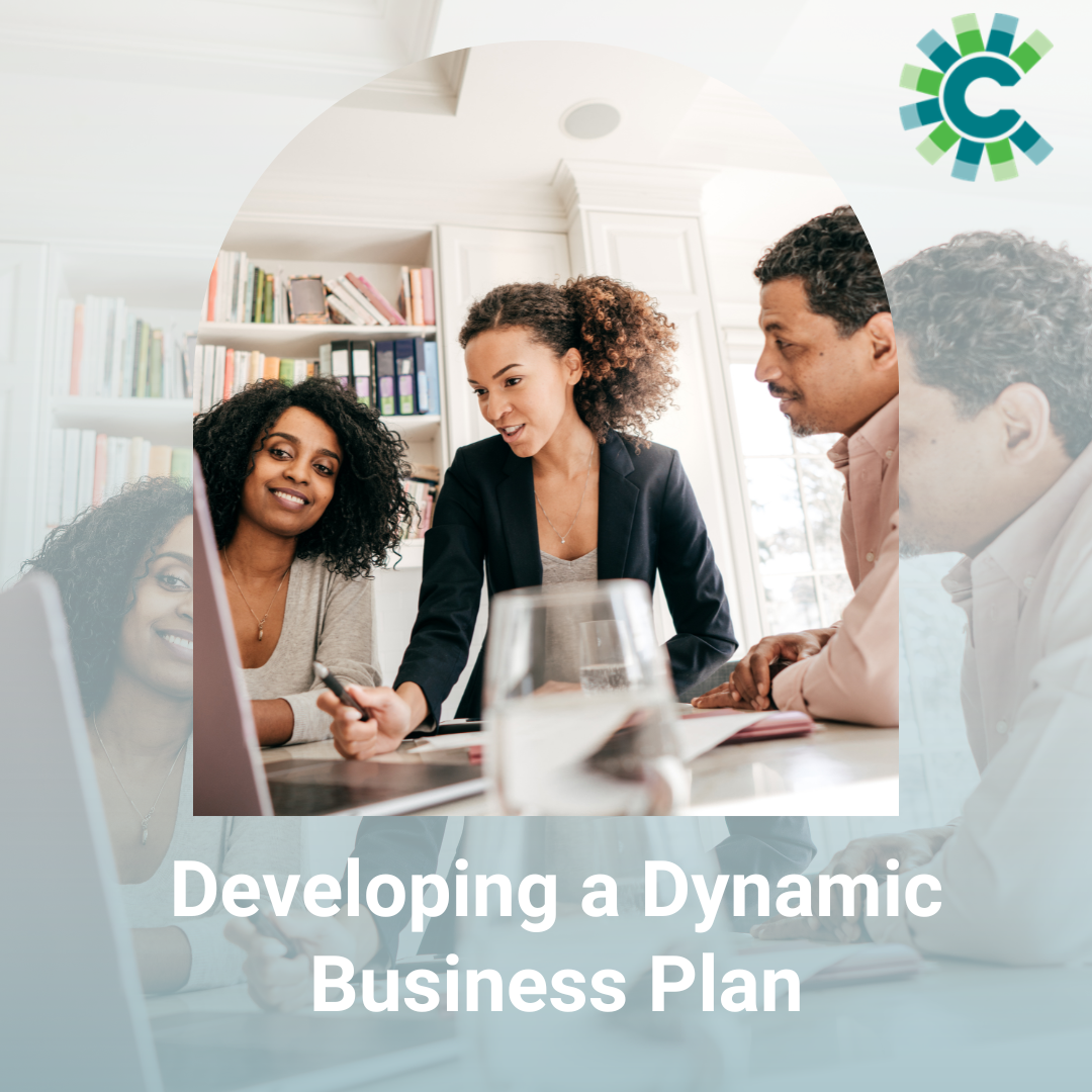 Developing a Dynamic Business Plan