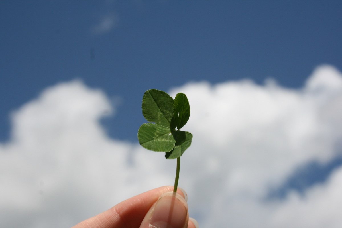 Retirement Doesn’t Happen by Luck—It Happens by Strategy