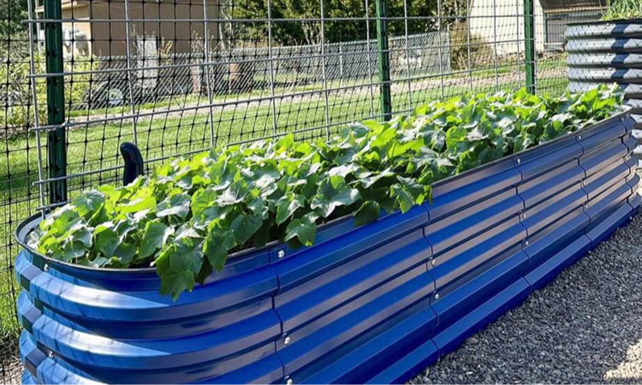 April is National Gardening Month: Cultivating Health & Financial Wellness for Medicare Seniors