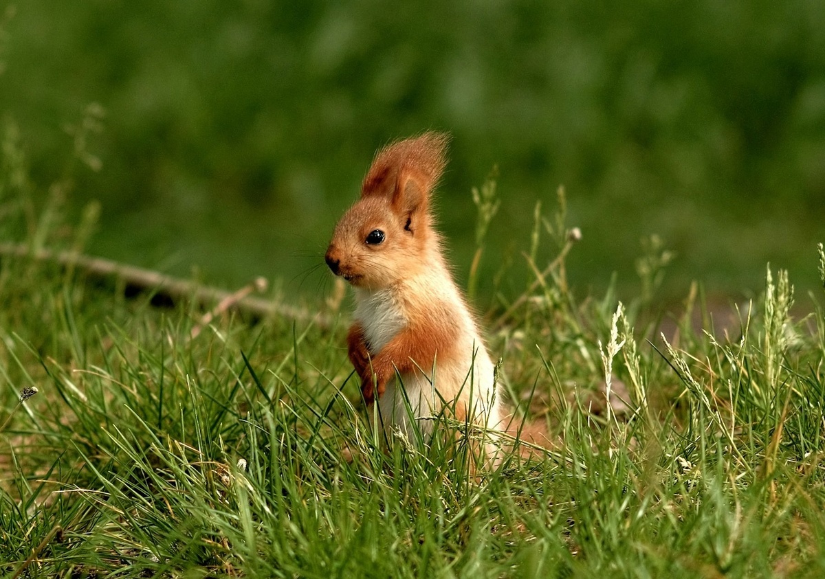 Weekly Market Insights: Despite Turbulent Week, Stocks Stage Comeback