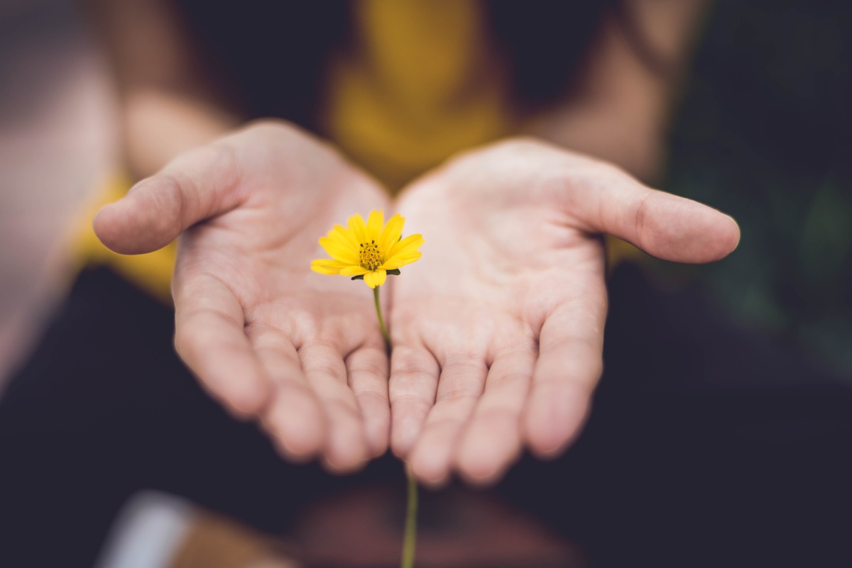 Qualified Charitable Donations