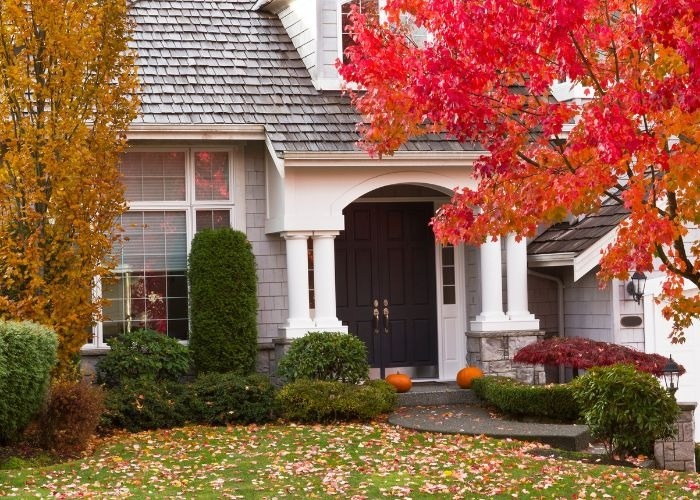 10 Tips for Fall Lawn Care