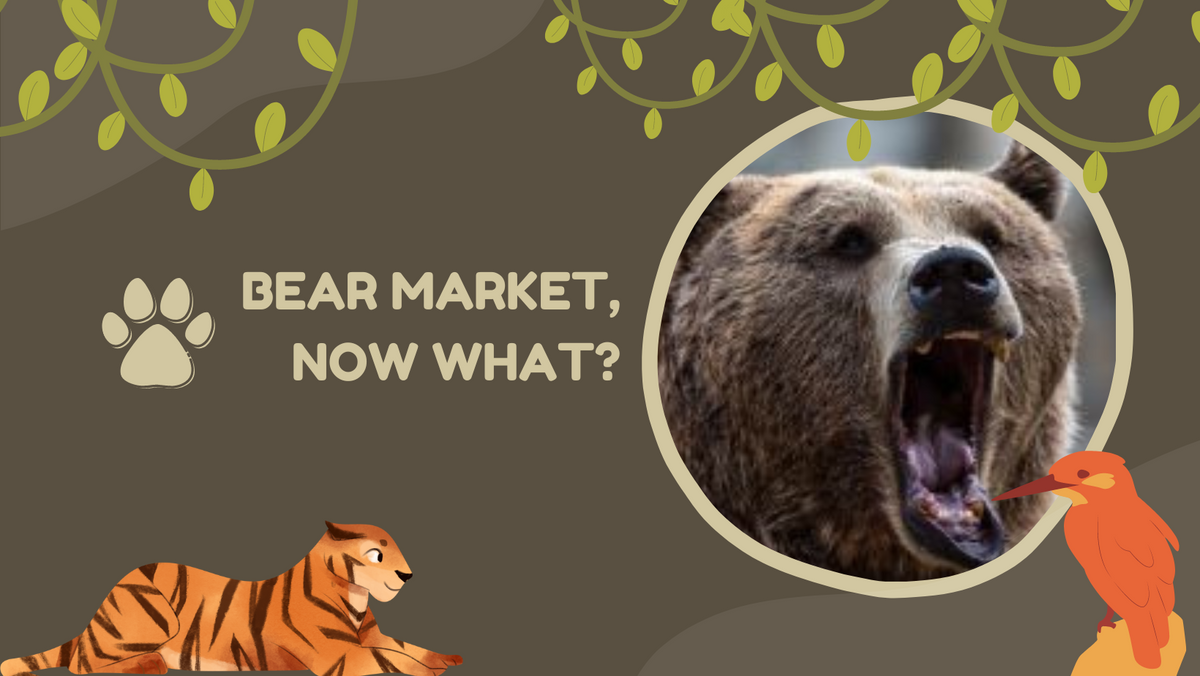 We're in bear country. What now?