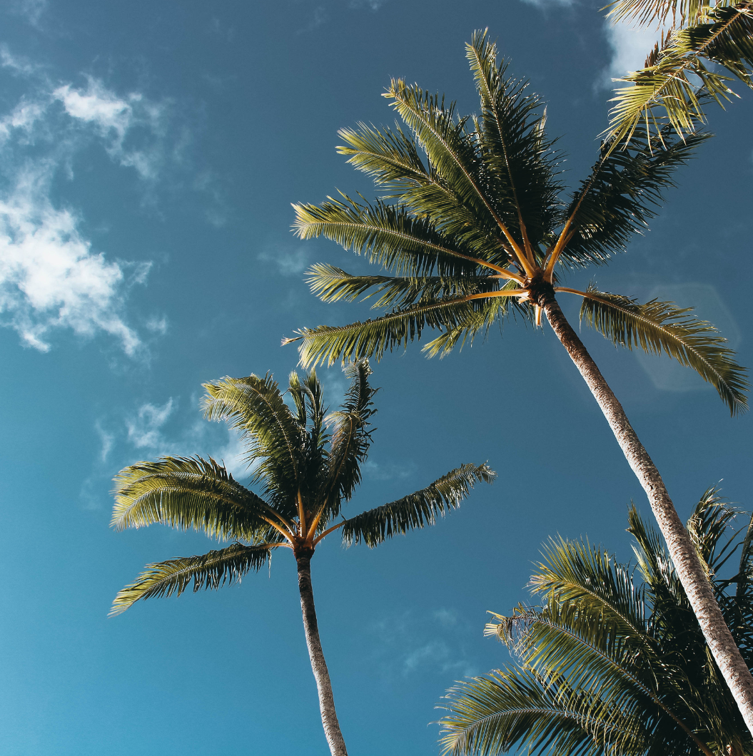 How We Make You Feel: Reflections from Our Visit in Tampa