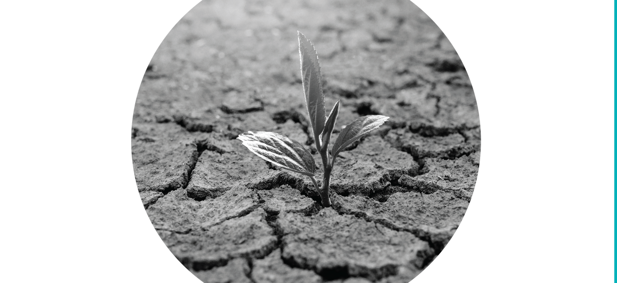 Geopolitical Update: Staying Focused