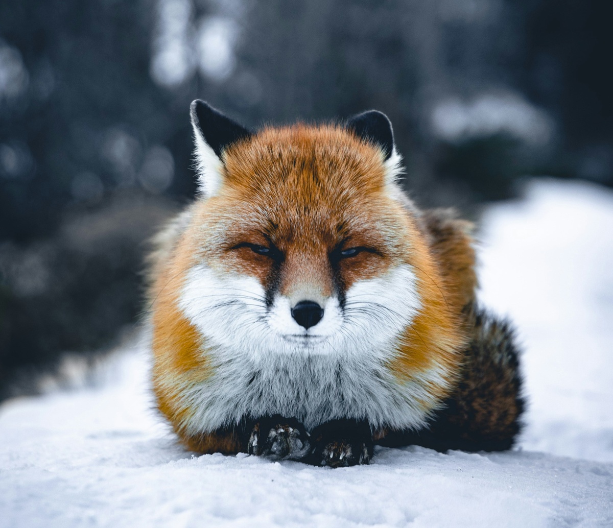 Weekly Market Insights | Stocks Bumpy, Awaiting Fed Meeting