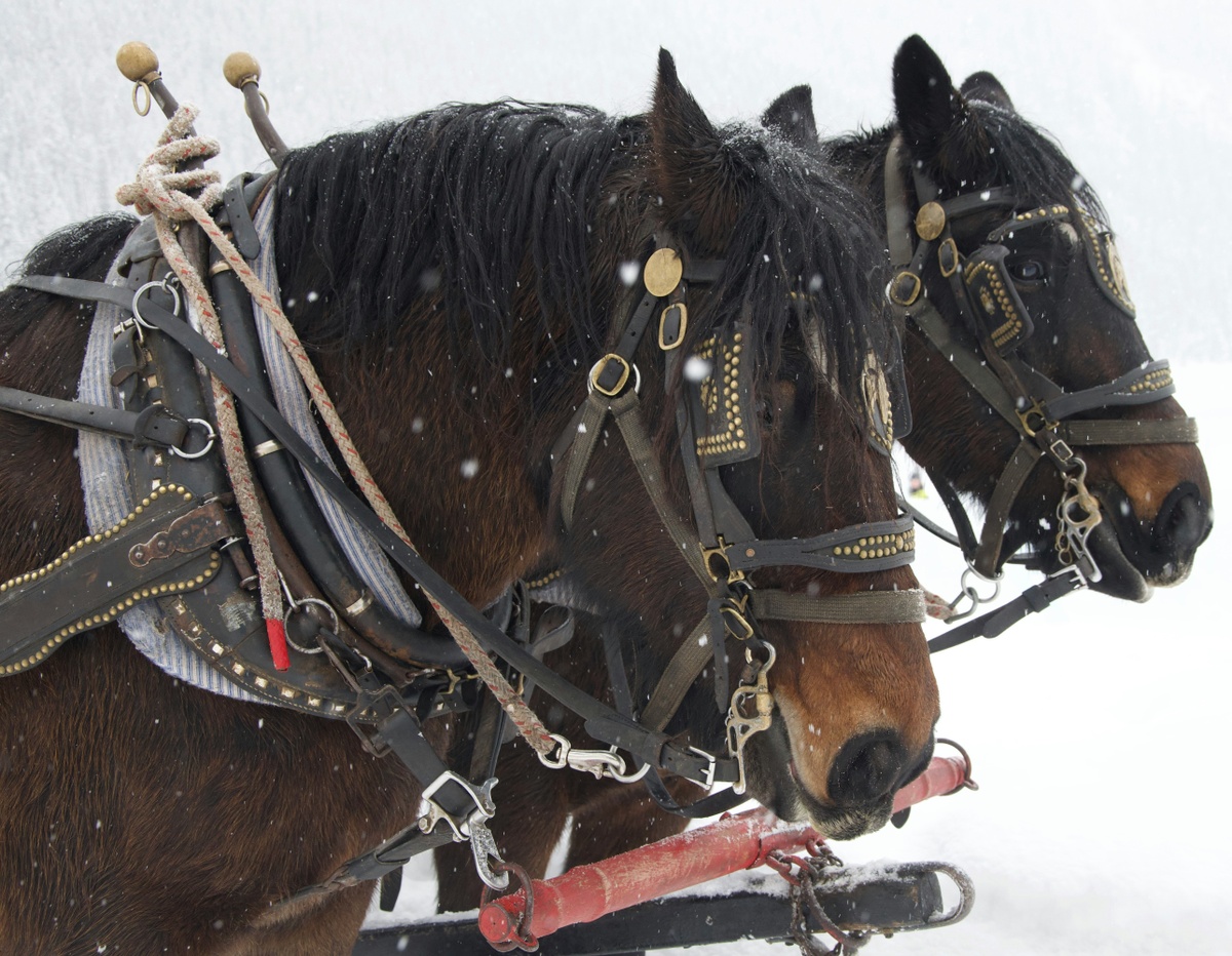 Weekly Market Insights | Jobs Data Delivers Bumpy Week