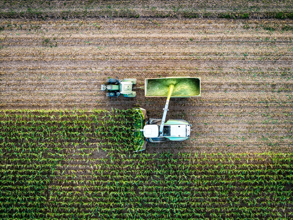 A Friendly Guide to Tax‑Loss Harvesting