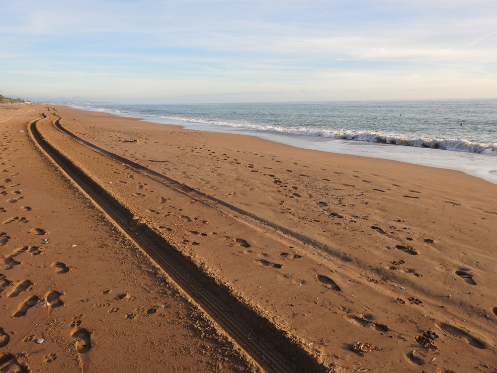 Line In The Sand