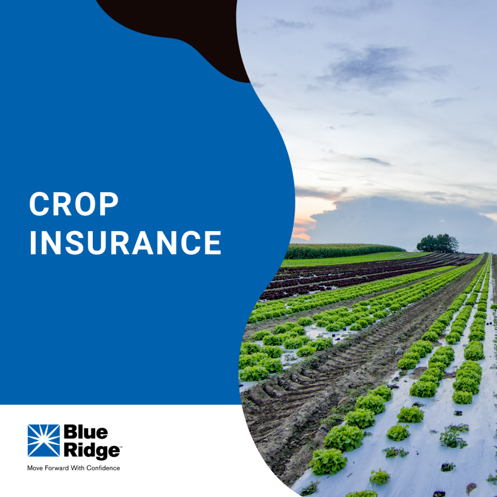 Can Crop Insurance Save My Farm?
