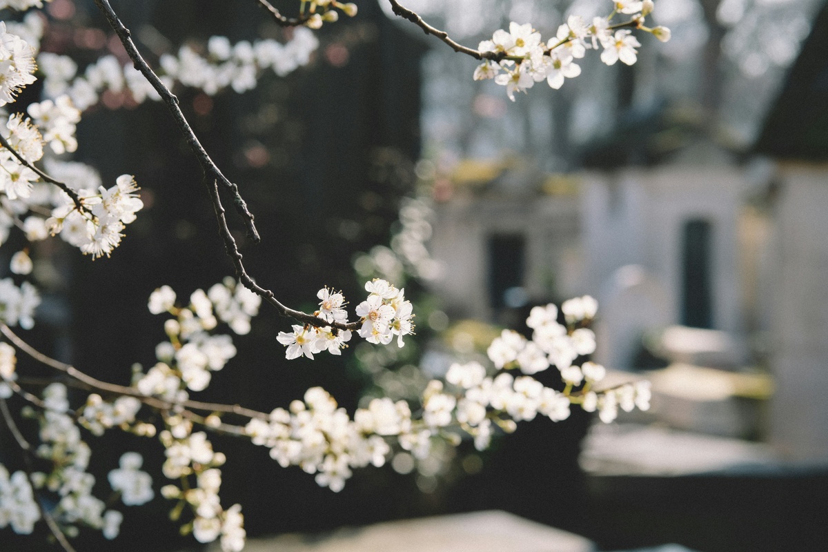 When Loss Changes Everything: Financial First Steps for Widows