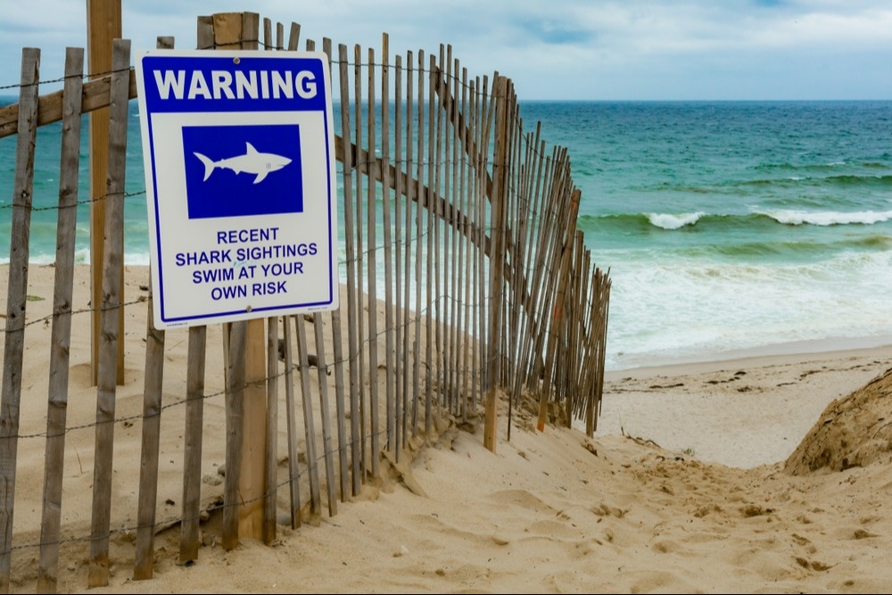 Market in Confirmed Uptrend, but Internals Flash a Warning Sign