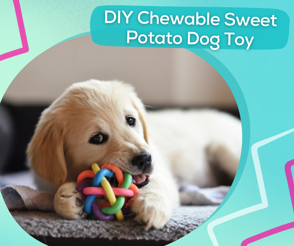 DIY Chewable Sweet Potato Dog Toy