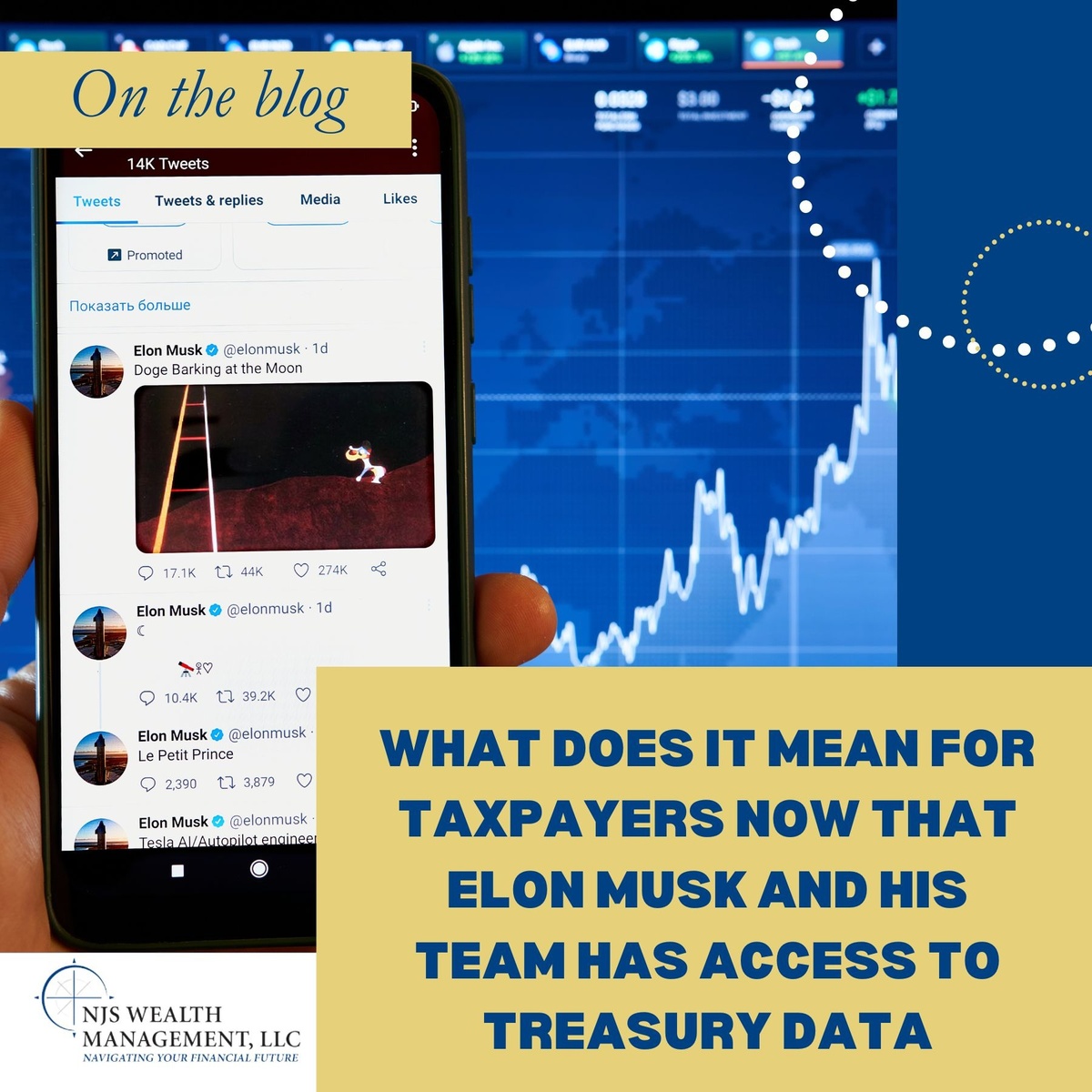 What Does it Mean for Taxpayers Now That Elon Musk and His Team Has Access to Treasury Data