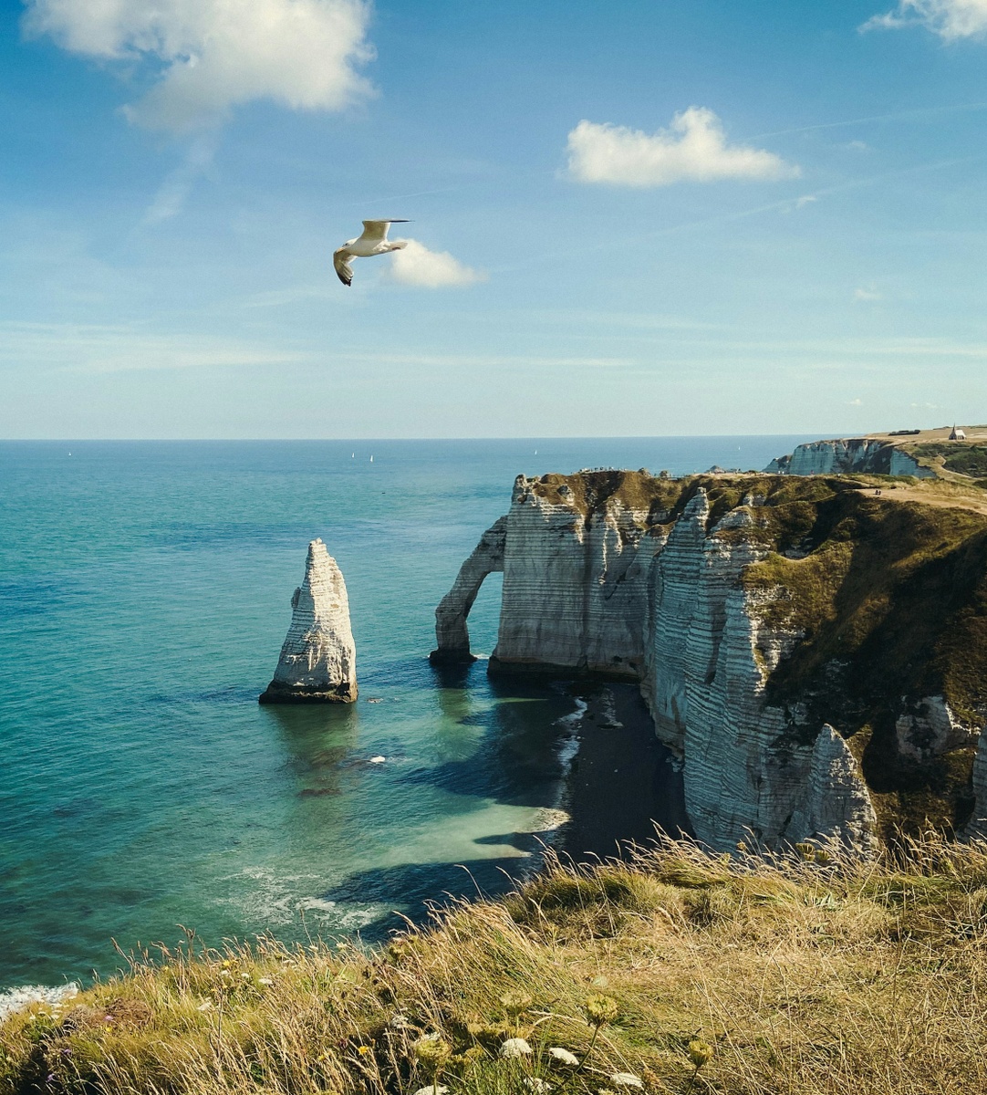 Weekly Market Insights: Tech and AI Lead Another Advancing Week