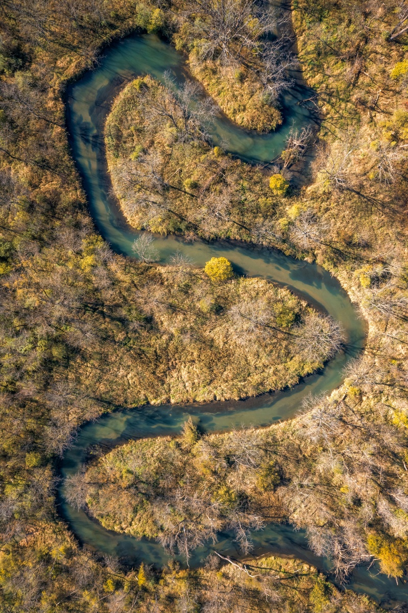How to Evaluate Whether Your Advisor Is Acting in Your Best Interest