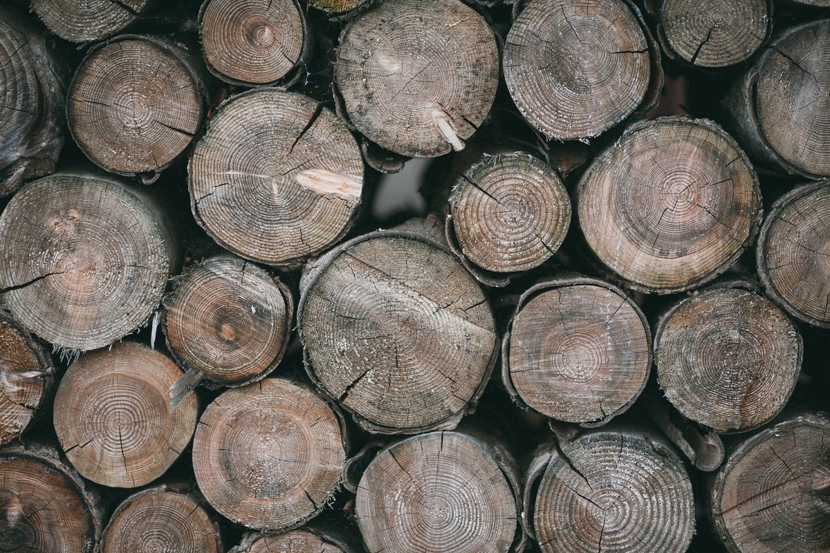 Why is Logging Insurance Important in Oregon?