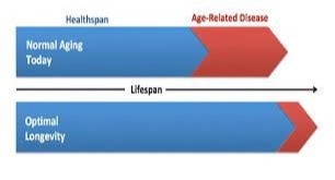 Maintain Healthspan to Gain ROL