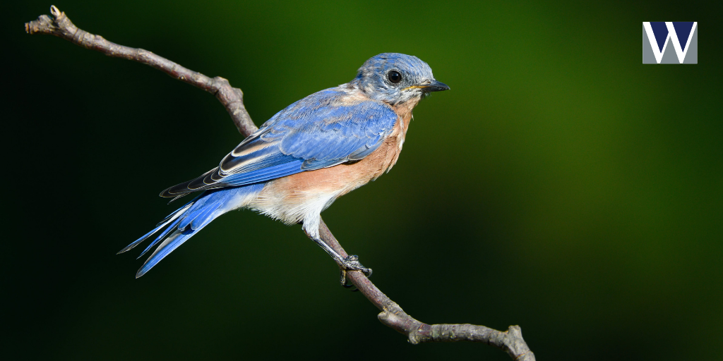 An Early Bird’s Guide to Year‑End Planning: 8 Steps to Review Before Q4