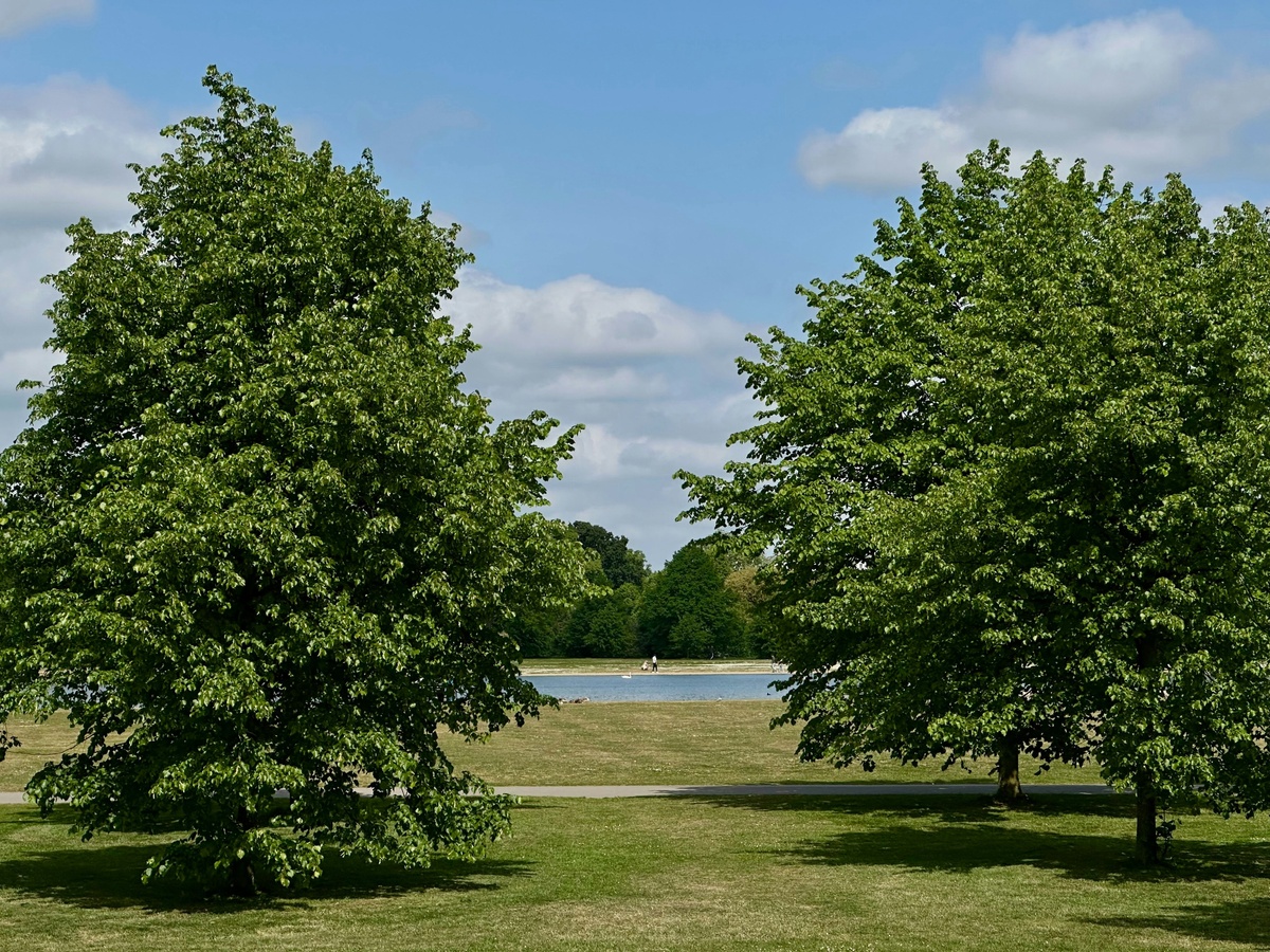 🍂 The Second Retirement: Planning When You’ve Been Here Before