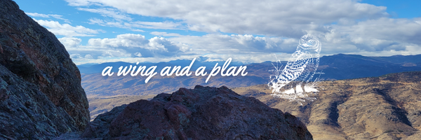 The Advantages of Utilizing a Roth IRA