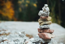 Roth IRA's and Roth 401k's