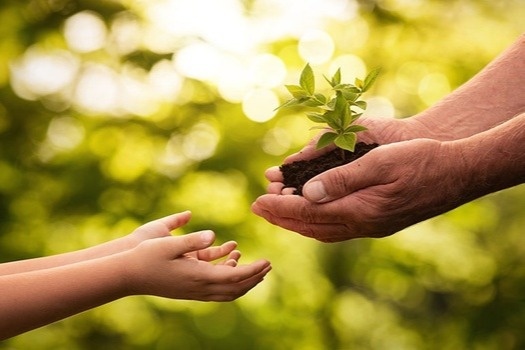 Leaving a Legacy of Charitable Giving for Your Children